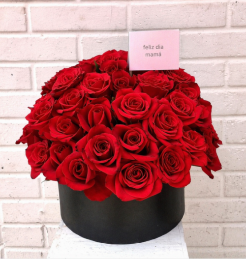 Caja mediana de 48 rosas