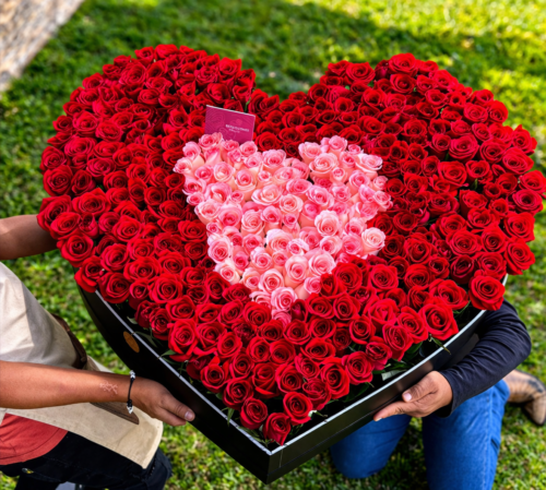 Corazón gigante de 300 rosas
