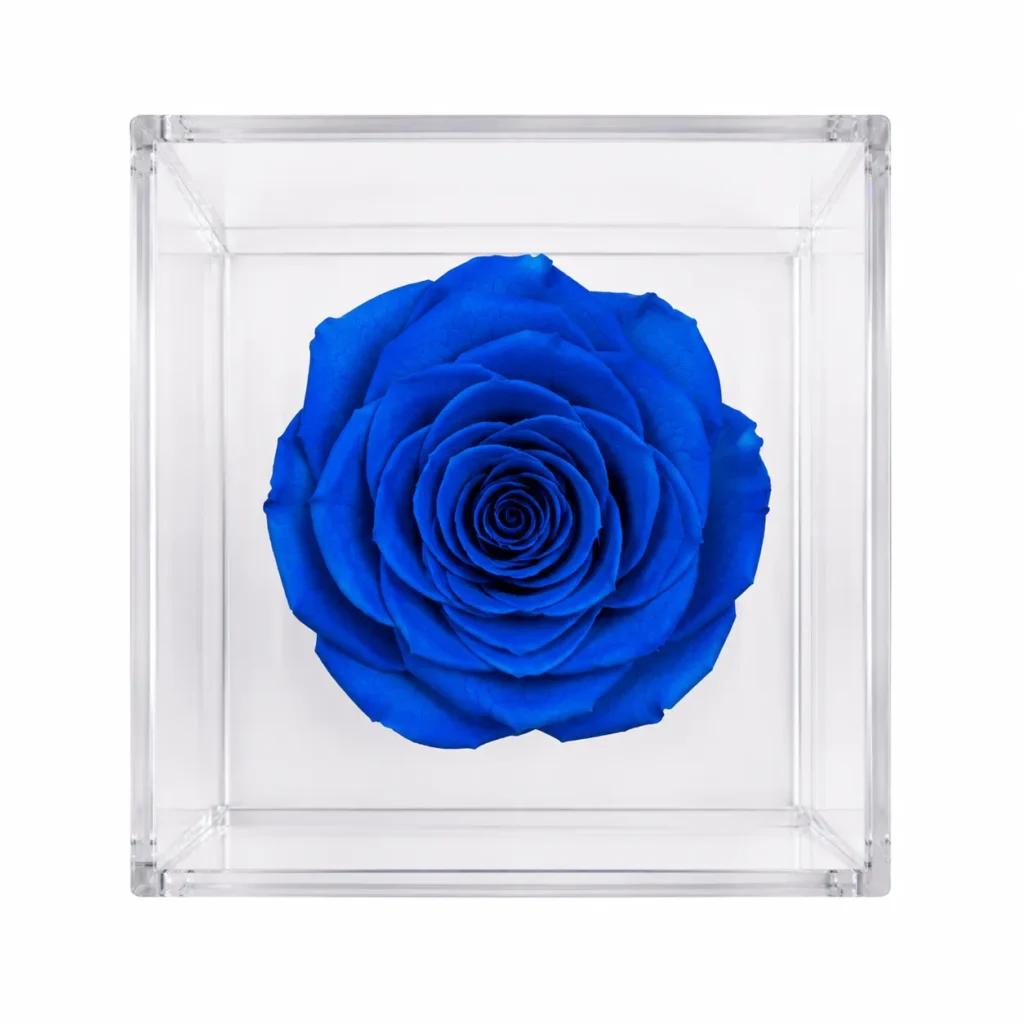 Rosa eterna preservada natural en varios colores guatemala