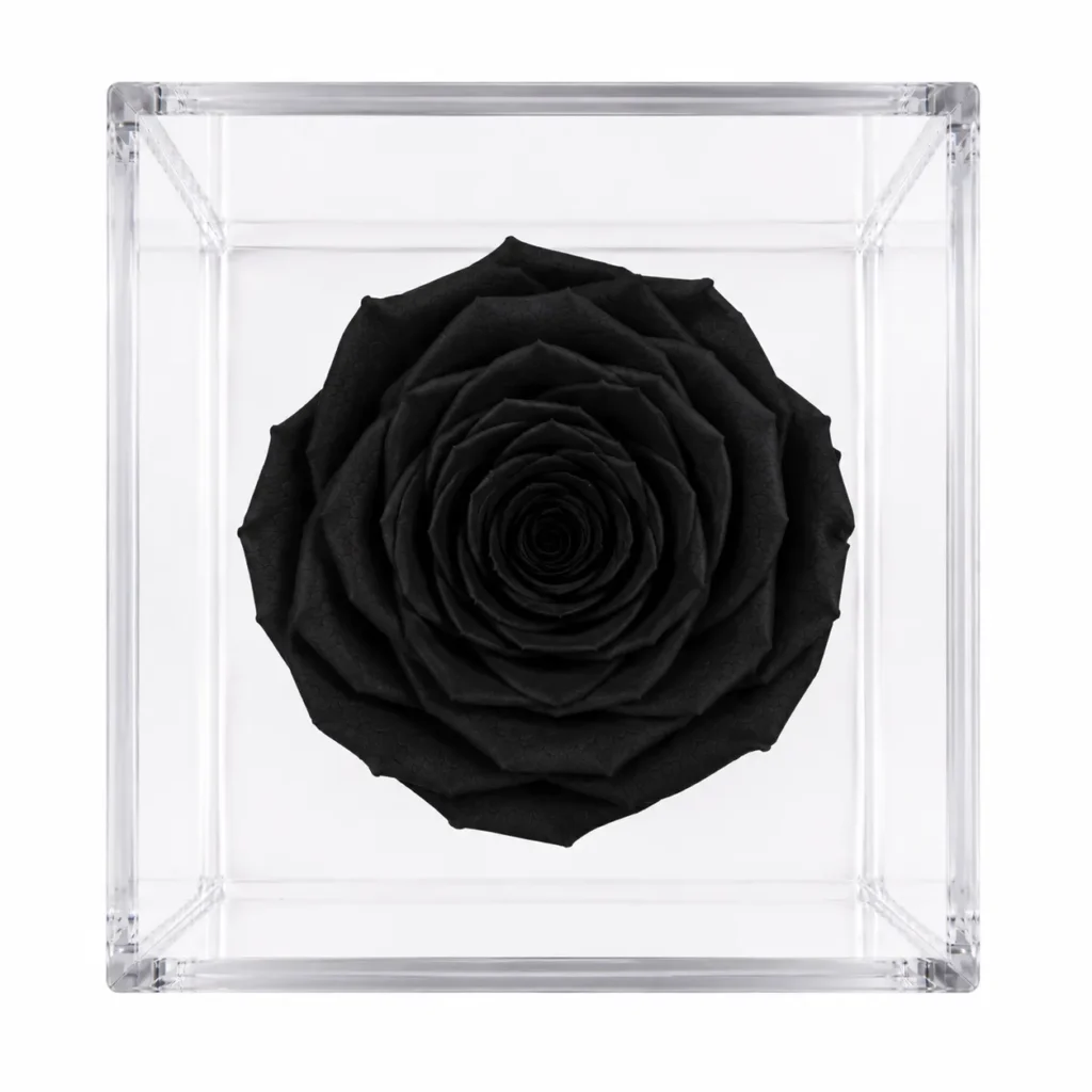 Rosa eterna preservada natural en varios colores guatemala