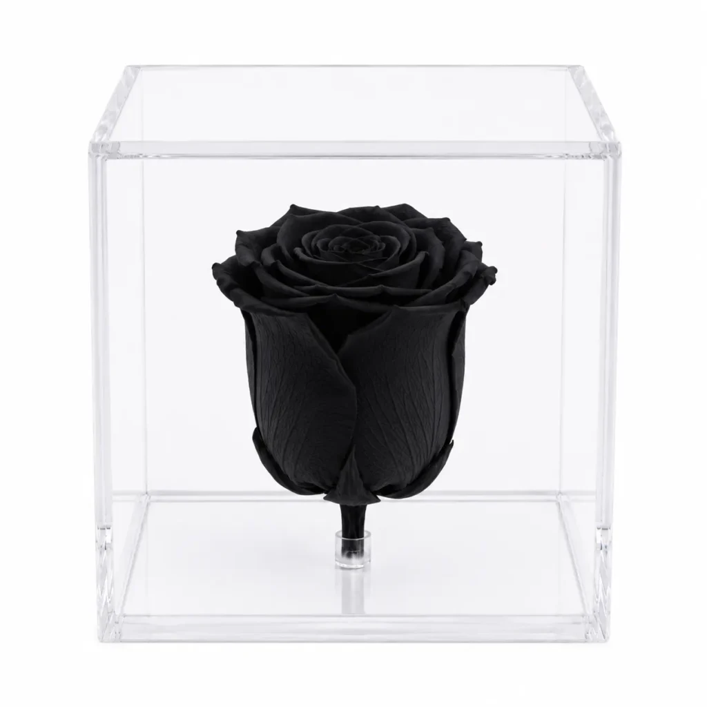Rosa eterna preservada natural en varios colores guatemala