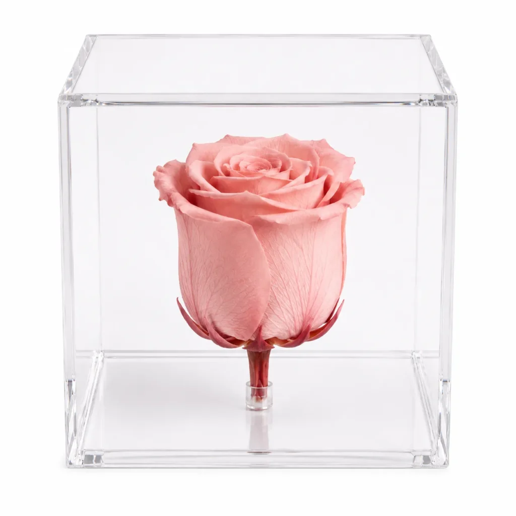 Rosa eterna preservada natural en varios colores guatemala